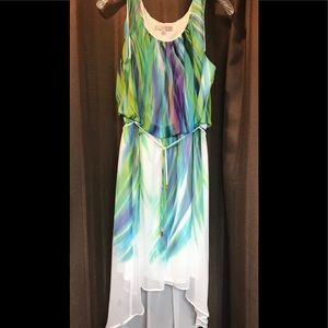 NWOT Sandra Darren dress.  Never worn